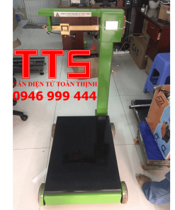 CÂN BÀN CƠ VIỆT NAM 500KG