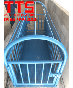 CÂN HEO ĐIỆN TỬ DS166SS 500KG