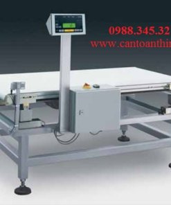 Cân Điện Tử Băng Chuyền CN 1