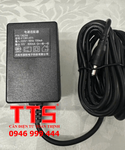 SẠC CÂN 10V 600MA