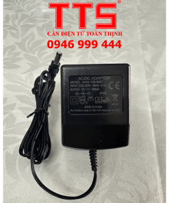 SẠC CÂN 12V DC 500MA