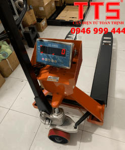 CÂN XE NÂNG ĐIỆN TỬ DS166SS