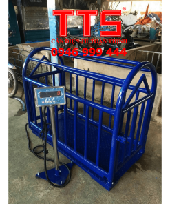 CÂN ĐIỆN TỬ GIA SÚC 500KG DS166SS