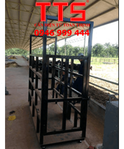 CÂN BÒ ĐIỆN TỬ TTS-E