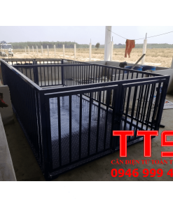 CÂN HEO NHIỀU CON 2X4M 1TẤN 2TẤN 3TẤN