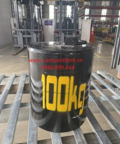 QUẢ CÂN M 100KG