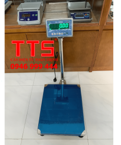 CÂN BÀN THỦY SẢN DIGI DS166SS