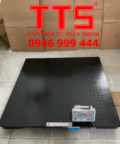 CÂN SÀN KẾT NỐI KHÔNG DÂY DS166SS