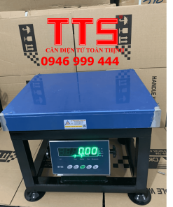 CÂN GHẾ ĐIỆN TỬ B19S