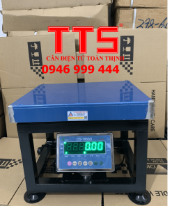 CÂN GHẾ NÔNG SẢN DS166SS