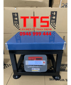 CÂN GHẾ ĐIỆN TỬ T31P