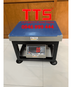 CÂN GHẾ ĐIỆN TỬ TTS-T7E