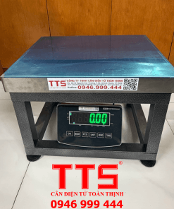 CÂN GHẾ ĐIỆN TỬ TTS8201