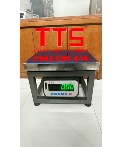 CÂN GHẾ ĐIỆN TỬ TTS-E