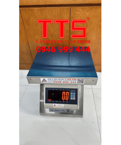 CÂN GHẾ INOX304 TTS-T7E