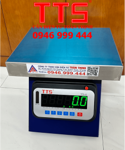 CÂN GHẾ HỘP SẮT TTS-E