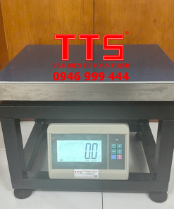 CÂN GHẾ ĐIỆN TỬ TTS-T7