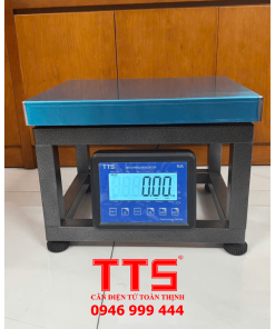 CÂN GHẾ ĐIỆN TỬ TTS-NA