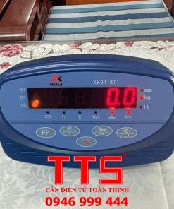 BỘ CHỈ THỊ XK3118T1